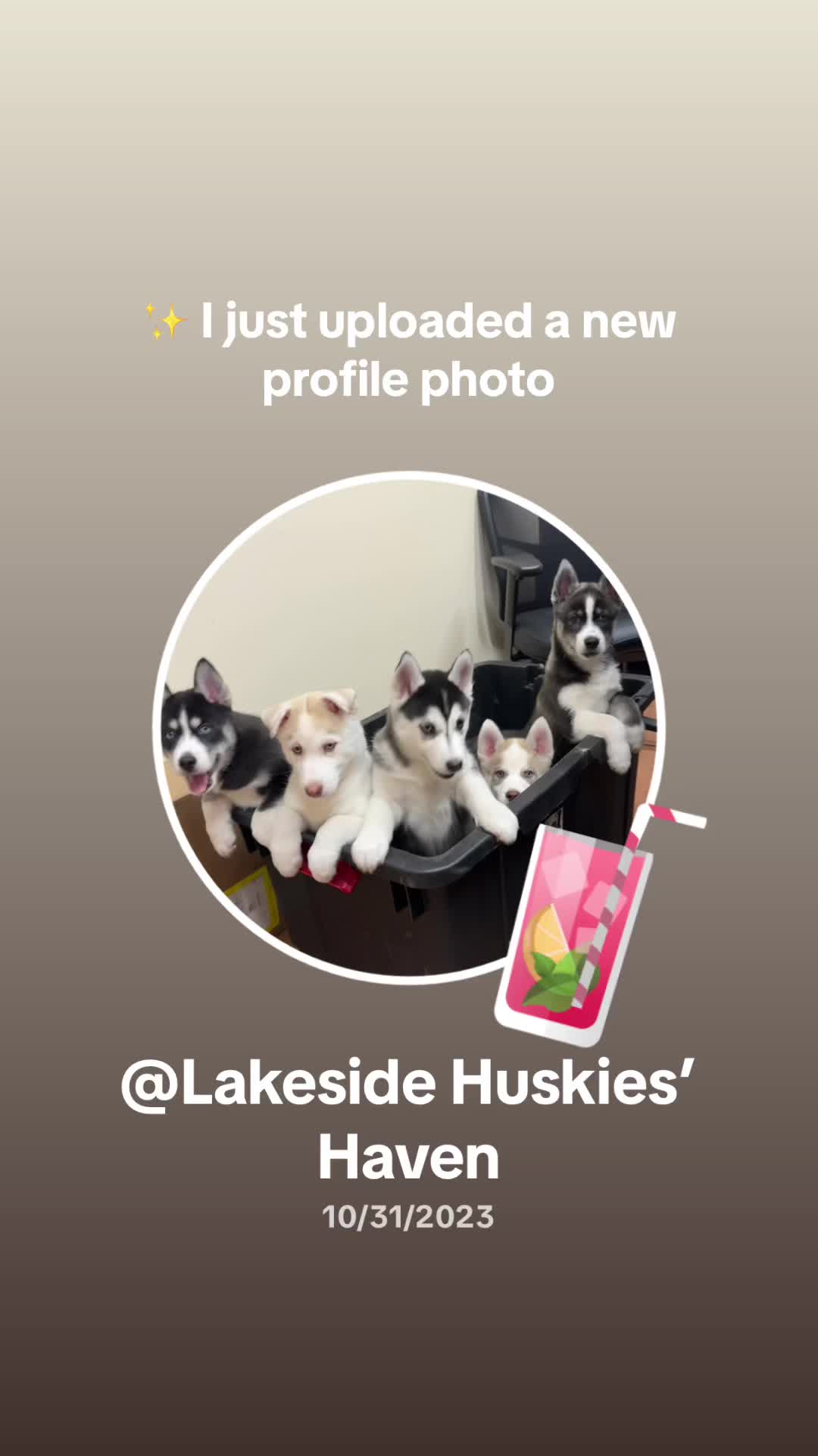 @Lakeside Huskies’ Haven