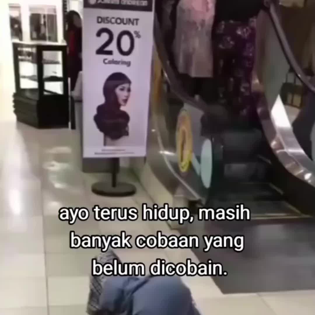 @yotamapr