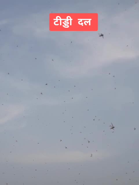 @꧁ঔৣ☬✞𝓓𝖔𝖓✞☬ঔৣ꧂