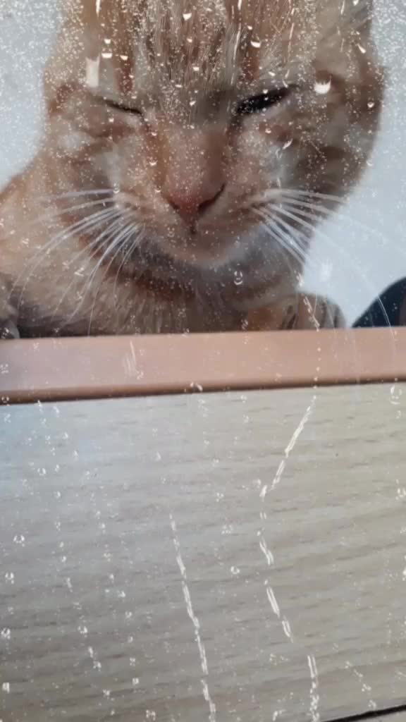 @eminemrahyıldız♡♡♡