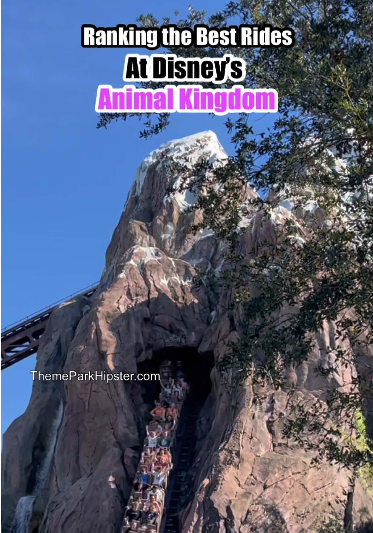@NikkyJ Solo Theme Park Travel