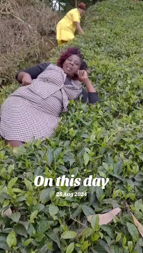 @janejane