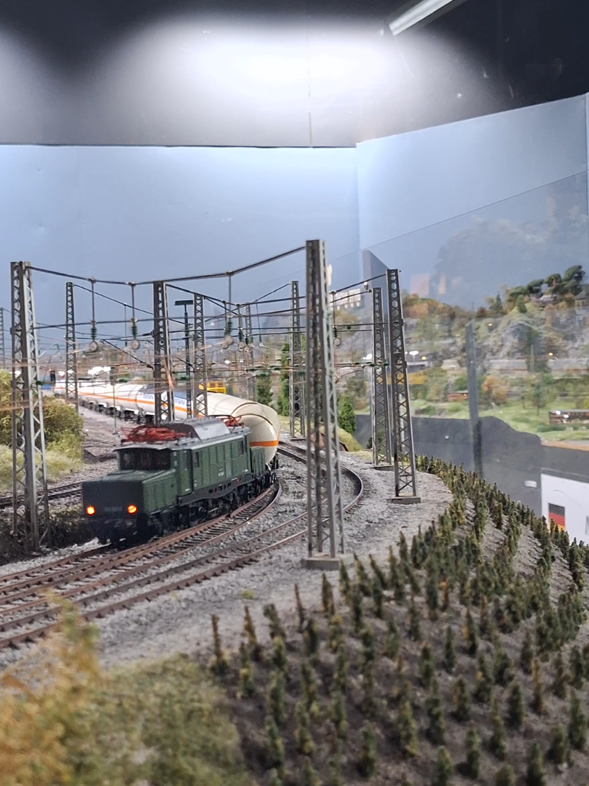 @Ludi 🚂💪