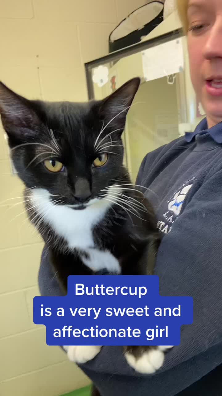 @LeicesterAnimalAid