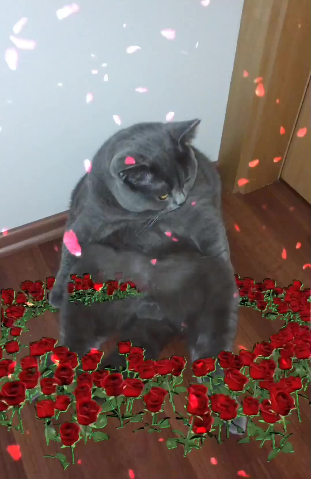 @⦻джессика⦻ 🪣♋