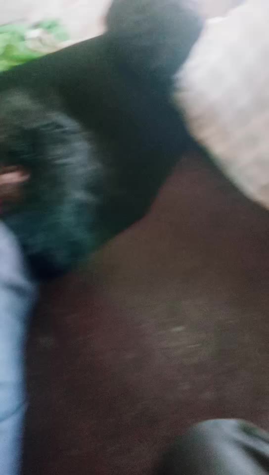 @karnan Lakshmnanan