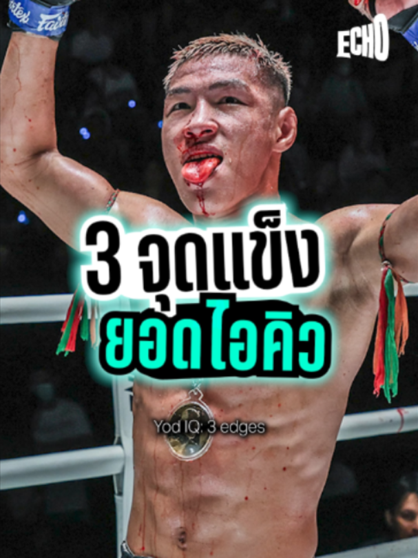 @Muay thai echo