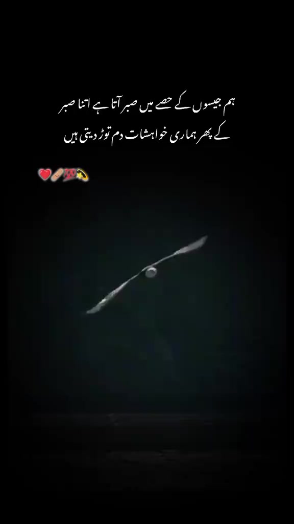 @Zubair Sahu