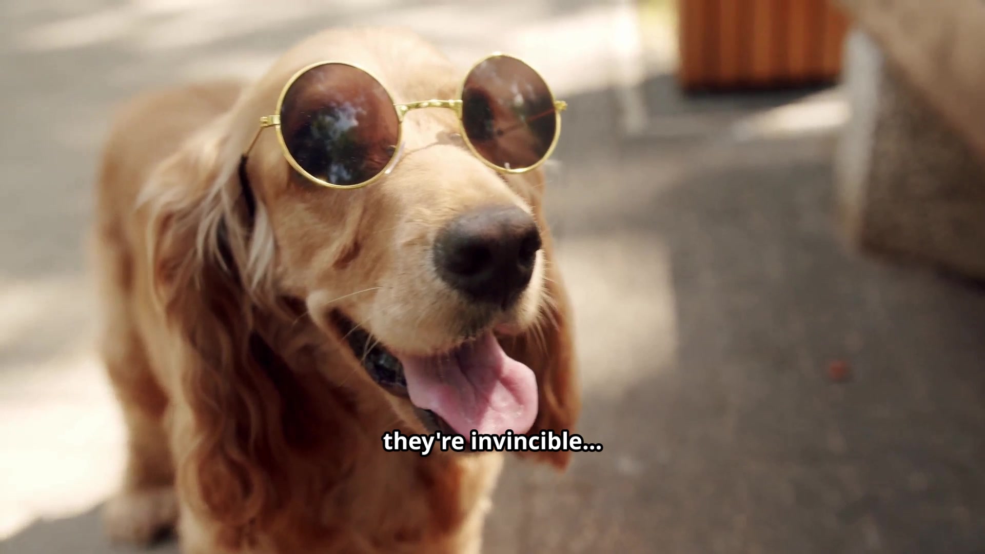 @Jessie Bee