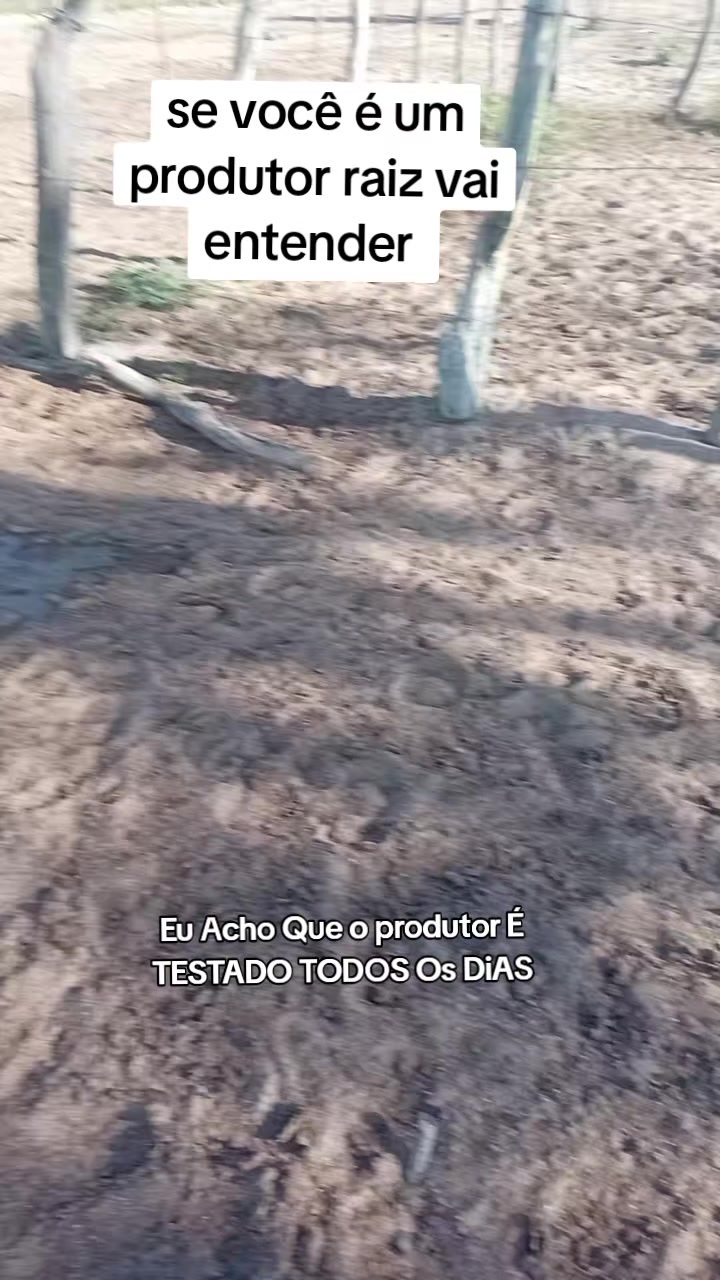 @jocriador