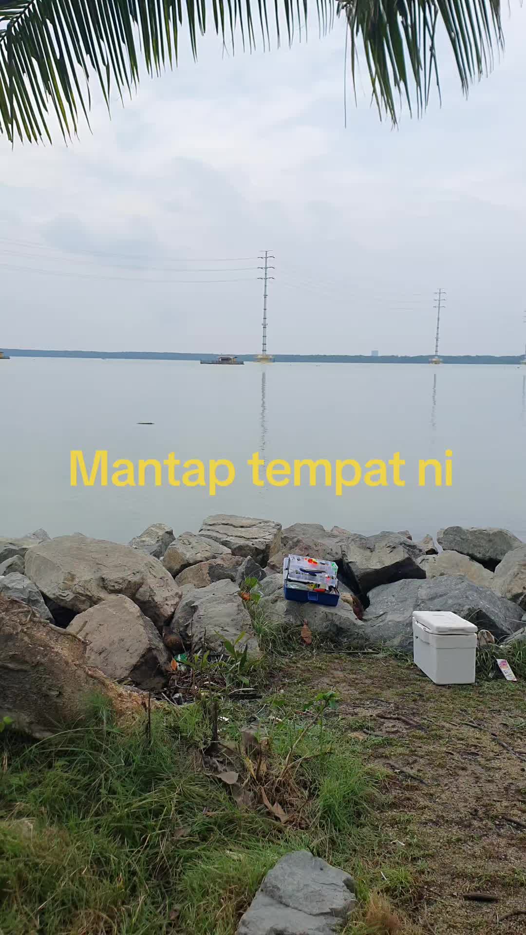 @Tar1719