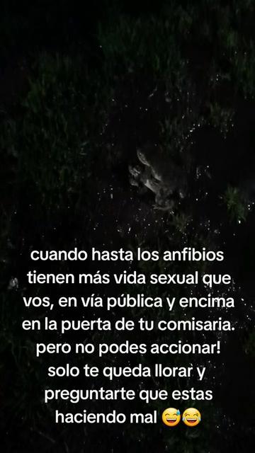 @noelia ayelen❤️🔥♌️🥥