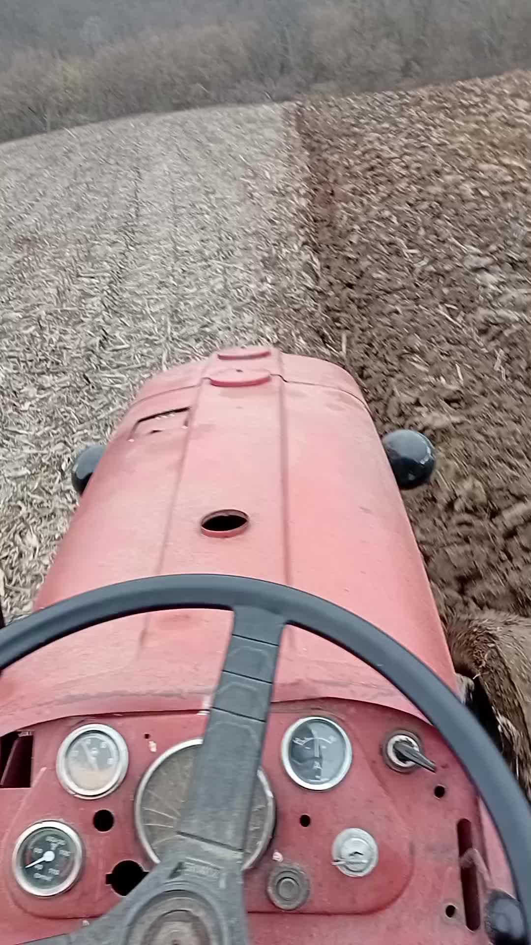 @IMT 558 u ❤️🔥