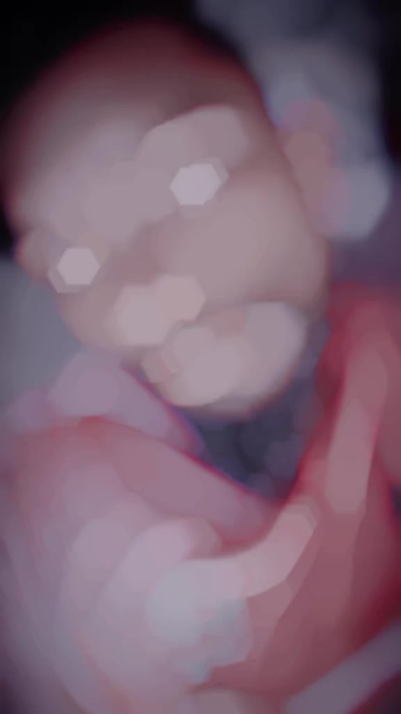 @๐ค๐ซ๐ฒ๐ท๐พ๐ฒ๐พ ๐ฑ๐พ๐
๐งธ๐ซ๐ค