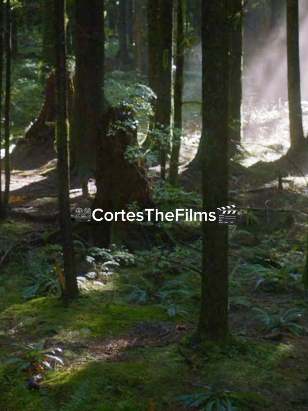 @Série & Filmes