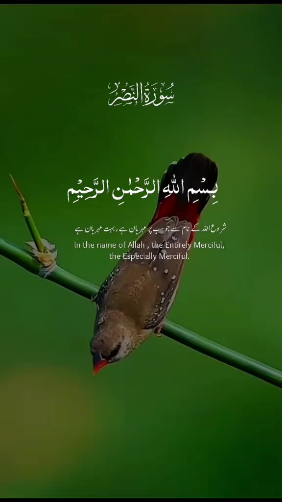 @Mohsin khan🇧🇩