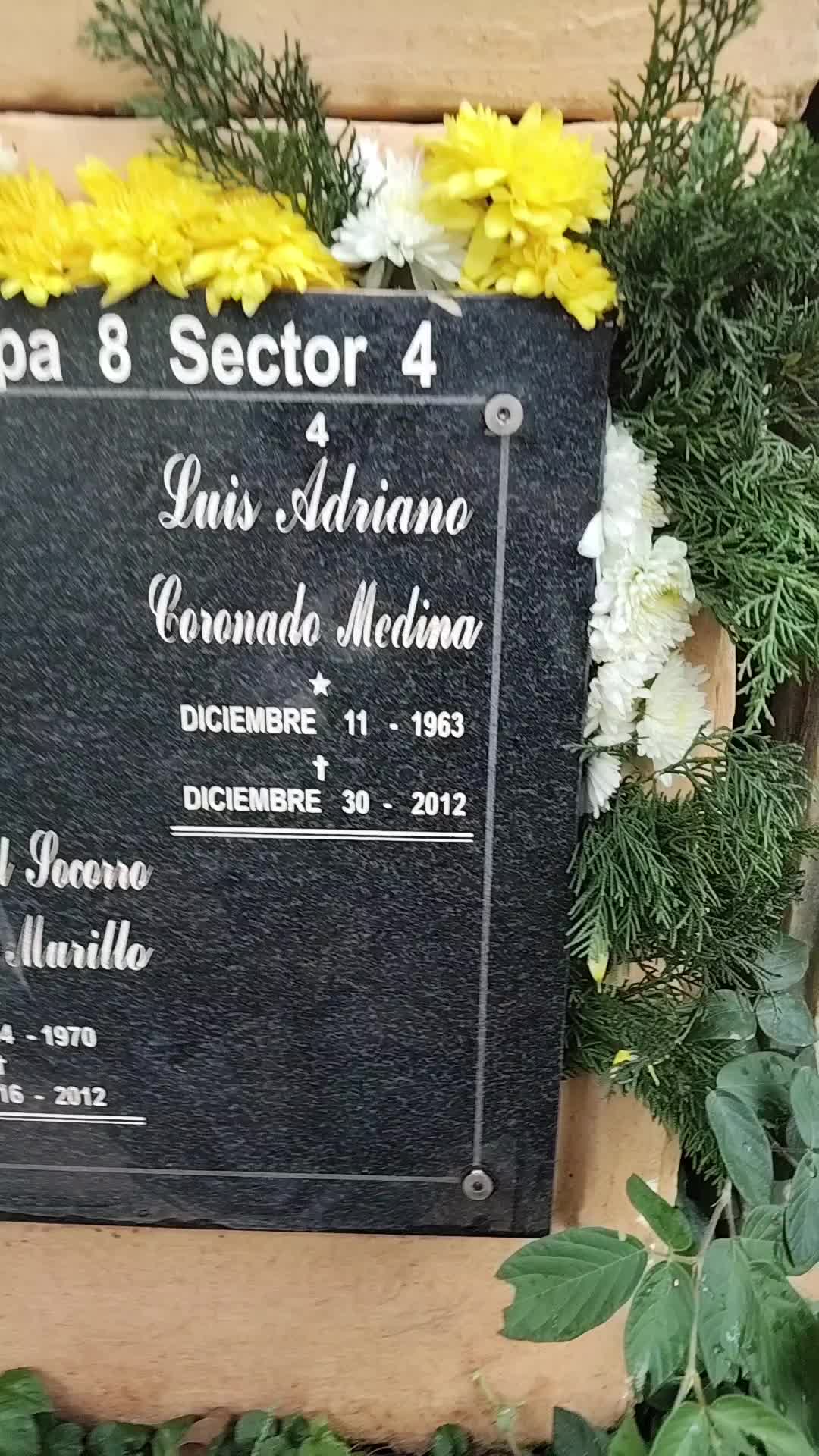 @Liliana Coronado Riv
