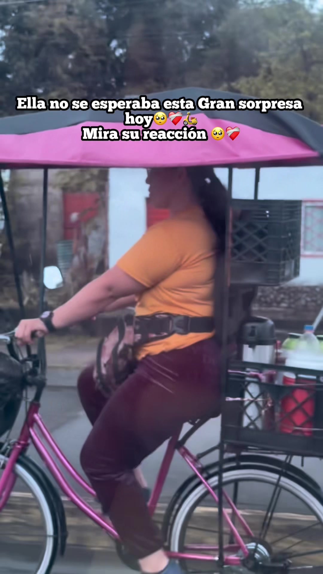 @Soyvidalve
