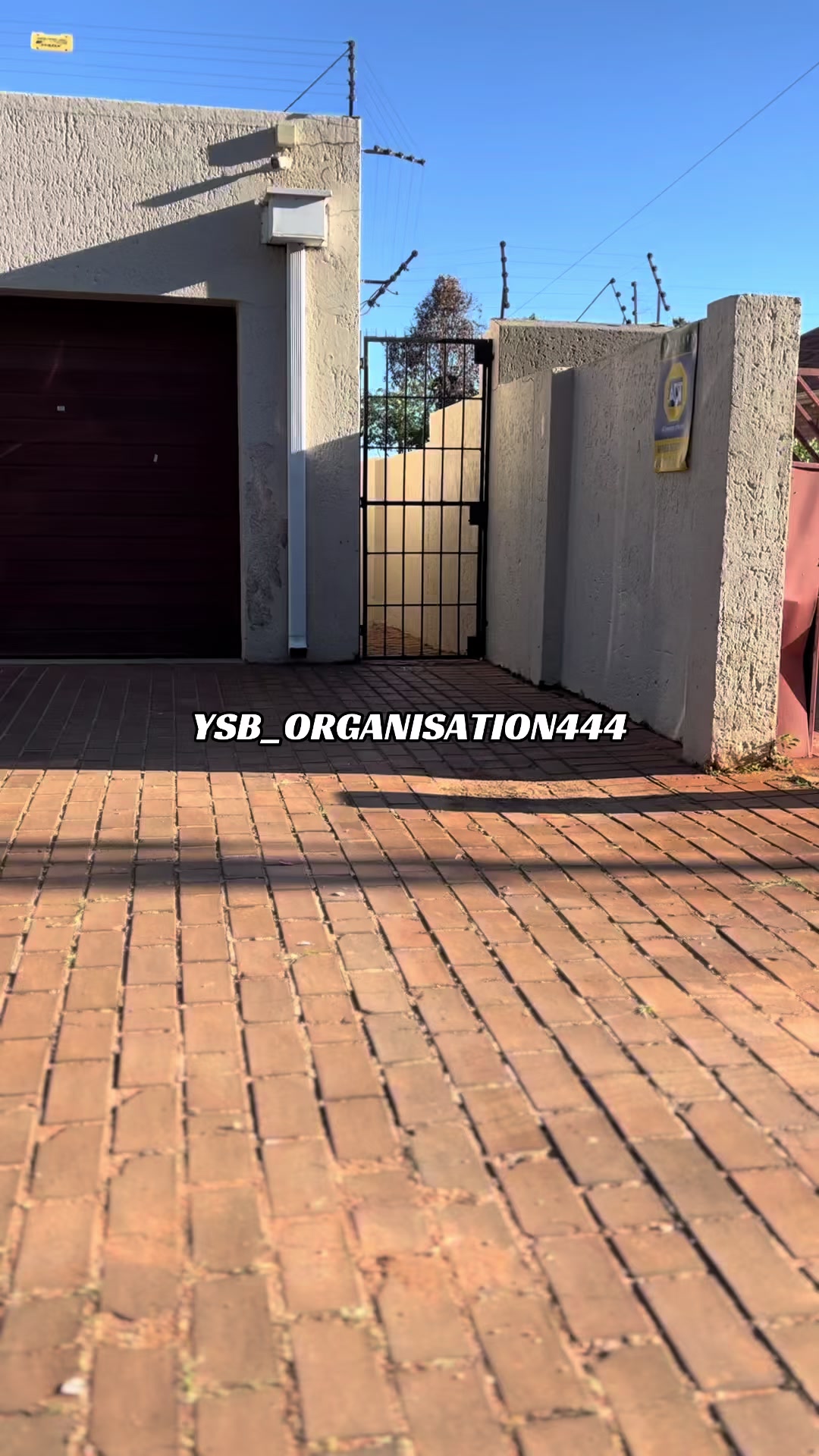 @YSBorganisation