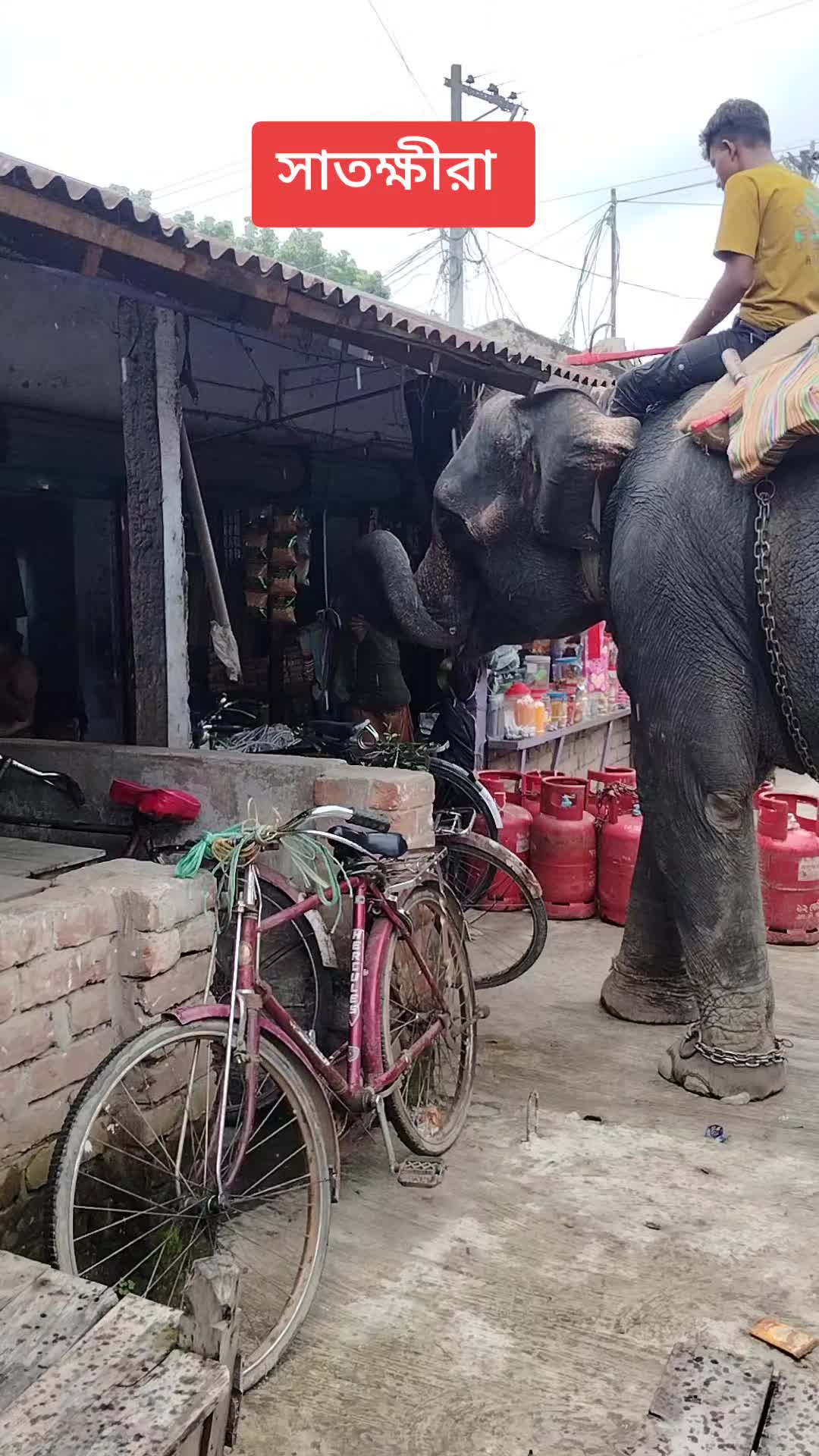 @সুকনা মরিচ🌶️🌶️🌶️