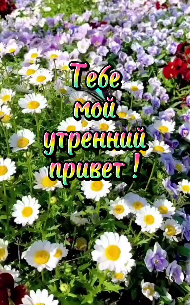 @Роза