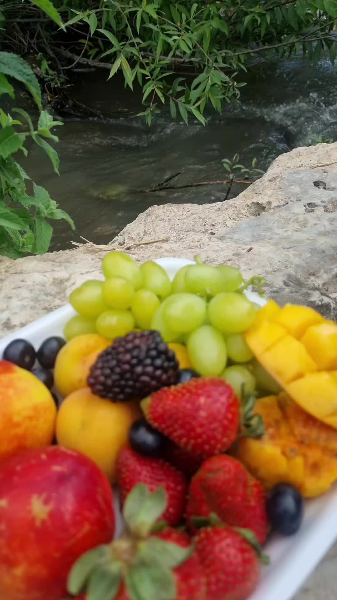 @פורטל הכרמל , emily halabi