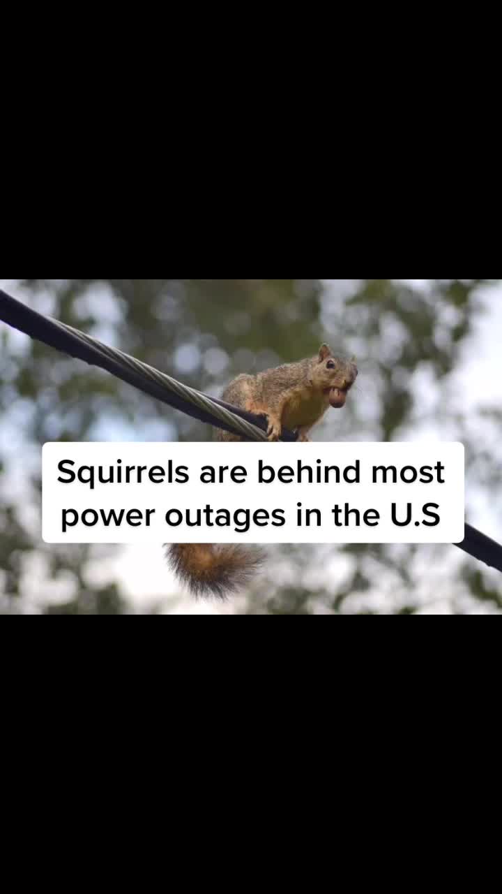 @Did you know that