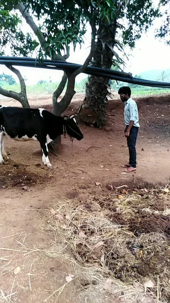 @Surya bhai