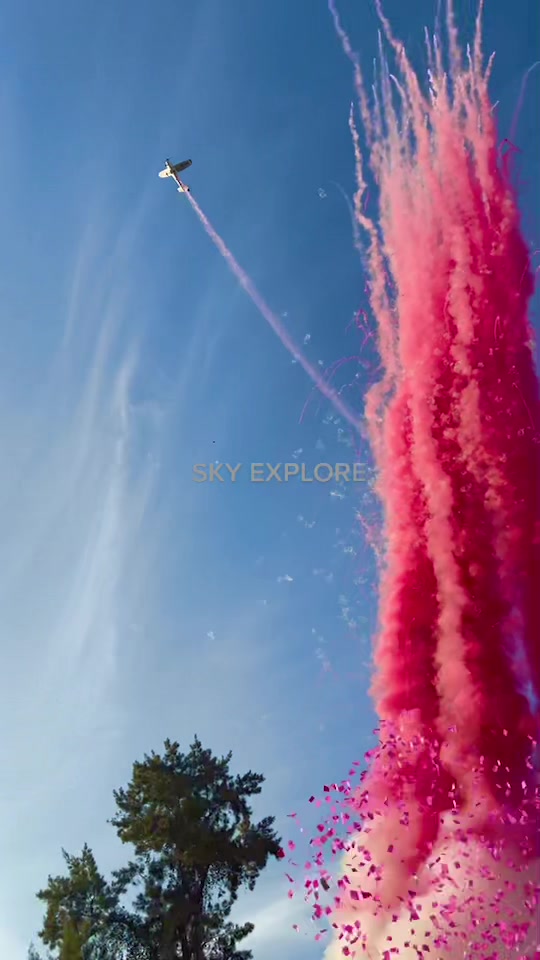 @Vuelos SkyExplore