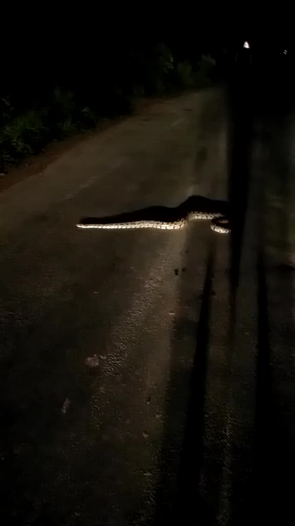 @ಶ್ರೀನಿವಾಸ್💗