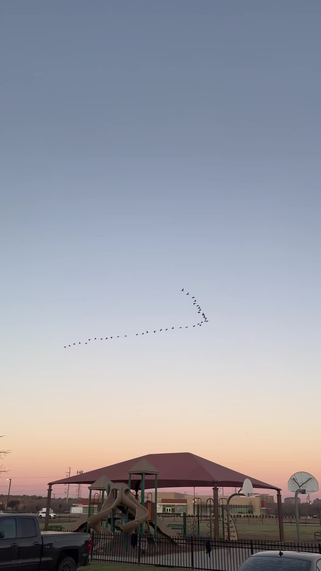 @Emcee Birder