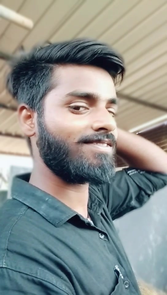 @Beard Dragon Rebel
