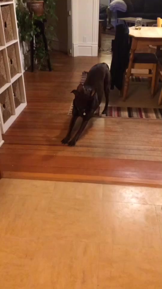@Penny_girl