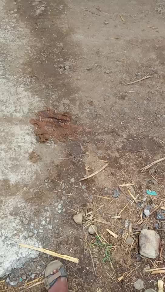@skydharmekar