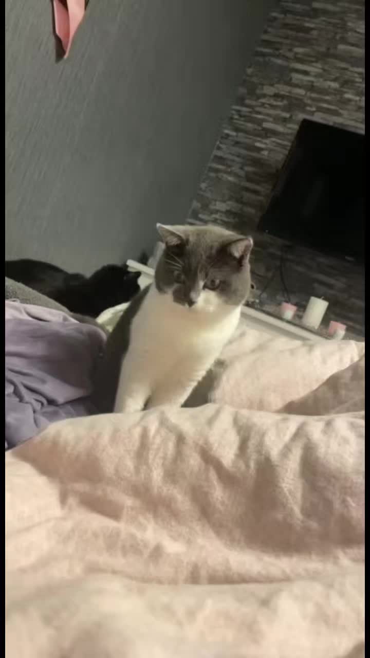 @𝐒𝔸𝓜тᑭᶠ&ouml;тᑕｈⒺή