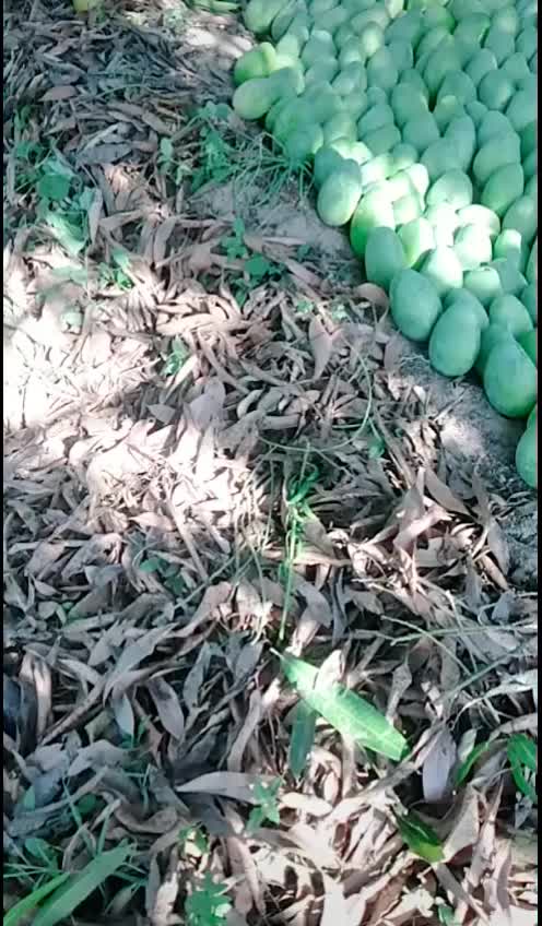 @SmileCrazyboy420