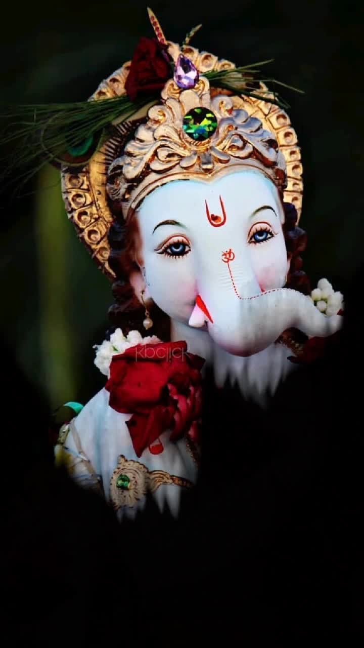 @user06528158541