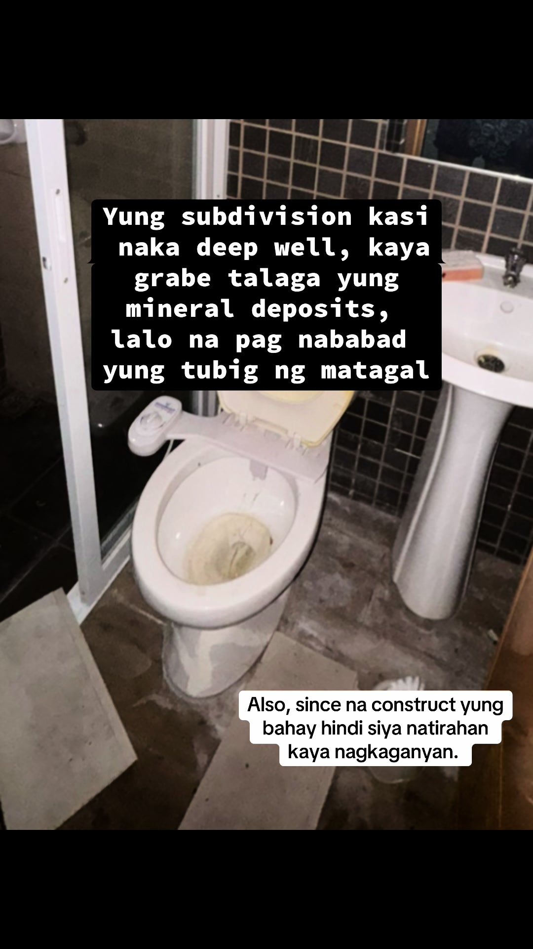 @Donna C.