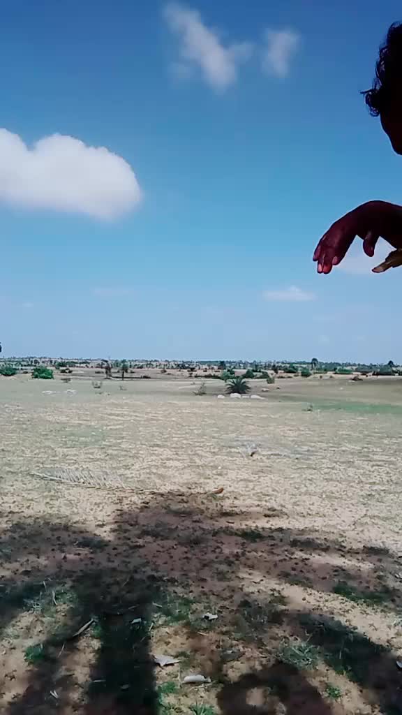 @yKarreppa