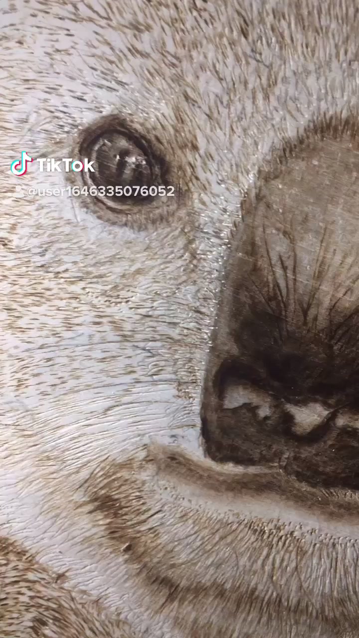 @Pyrography Dude
