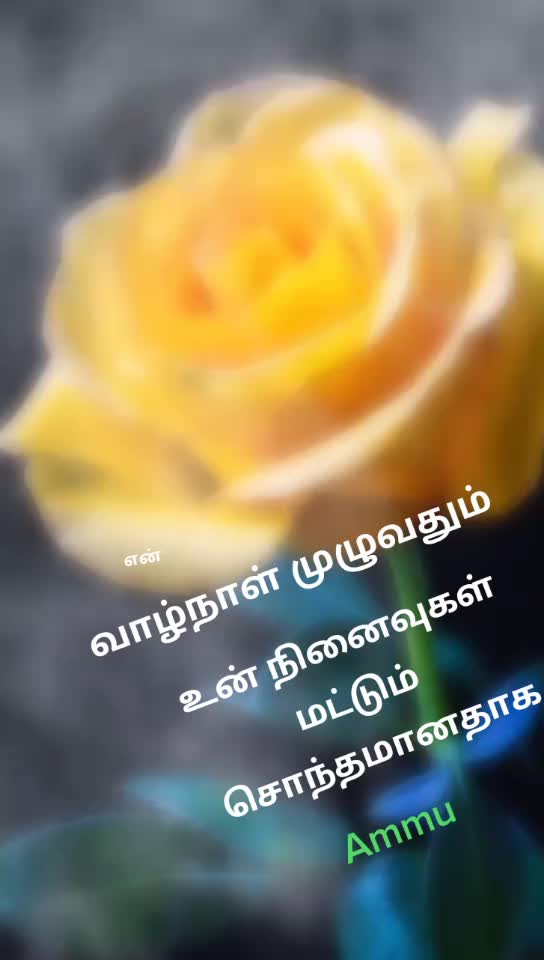@user539847