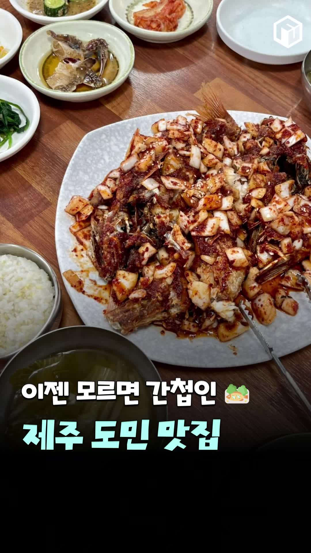 @제주톡톡