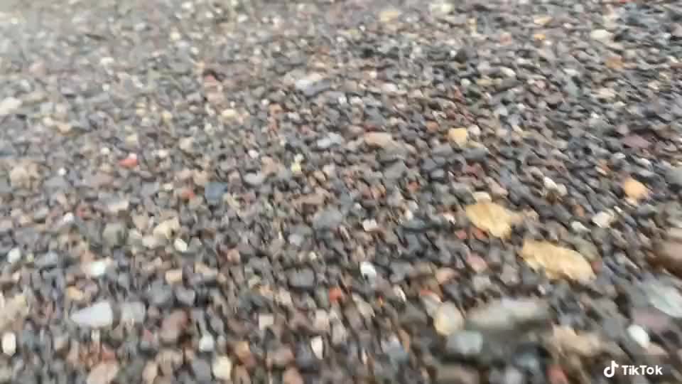 @किशोरदादा