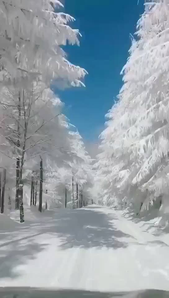 @Biswajit
