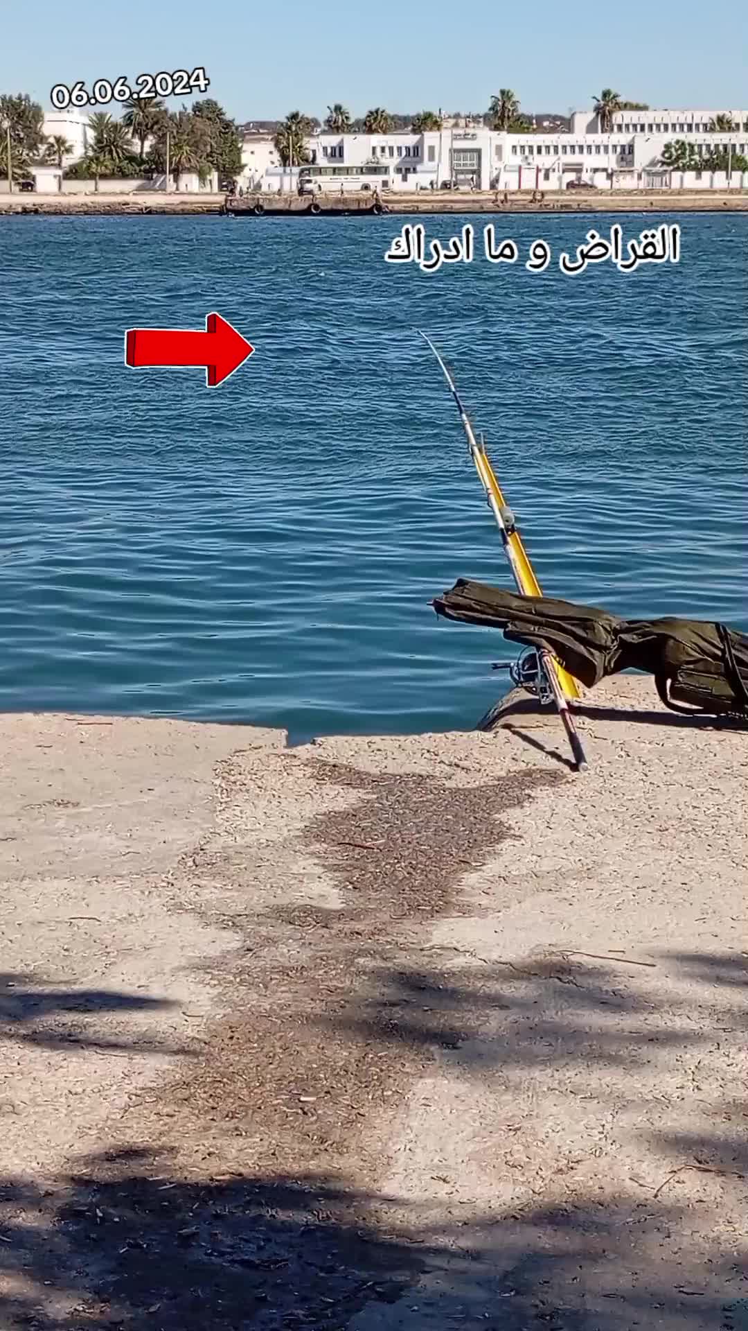 @🇹🇳 D.surfcasting 🇹🇳