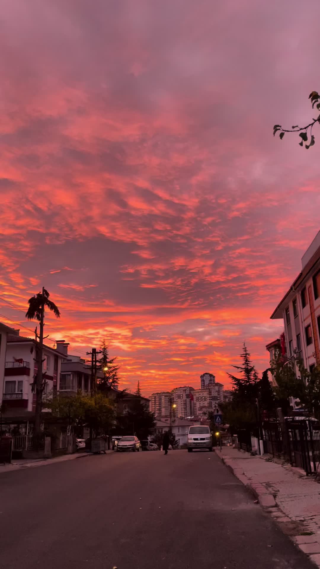 @manzaramankara