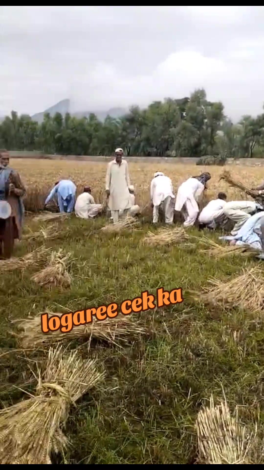 @🦅Malang Jan🦅