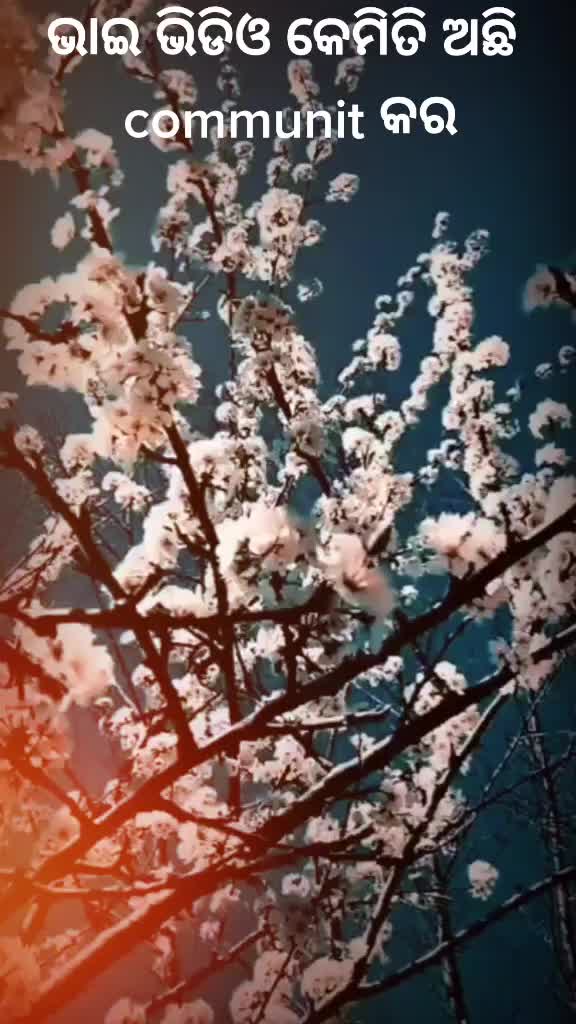 @ଓଡ଼ିଶା ପୁଅ ରାୟଗଡ଼ାଟକା