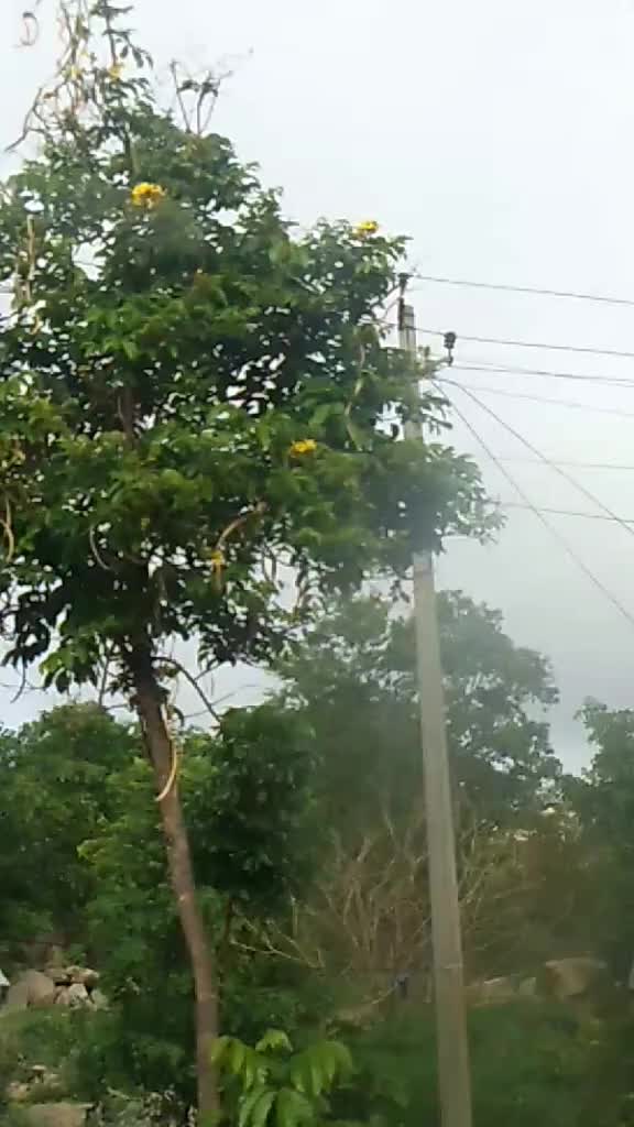 @ರವಿ ಕನ್ನಡಿಗ