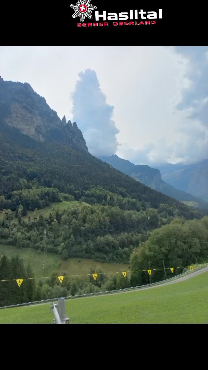 @timo moor